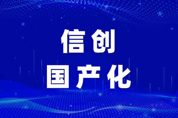 承接WEB项目信创国产化改造与国产服务器兼容适配改造
